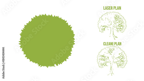 Green tree silhouette and detailed plans vector illustration for landscape design and architecture