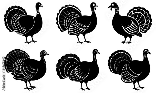 Six Black and White Turkey Silhouettes on White Background bird