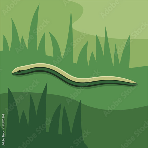 Illustration of a legless lizard crawling through grass.