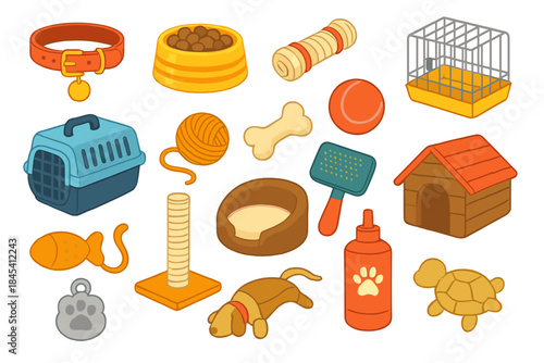 Essential supplies and accessories collection for domestic dogs and cats
