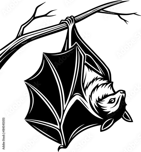 Stylized Bat Hanging Upside Down – Black and White Wildlife Art