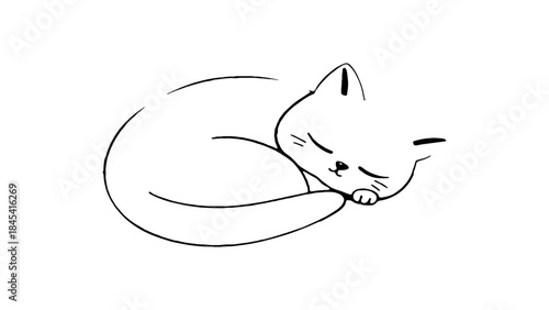 Charming minimalist black and white line art illustration featuring an adorable sleeping kitten curled into a serene, peaceful ball, perfect for cozy designs and comforting themes