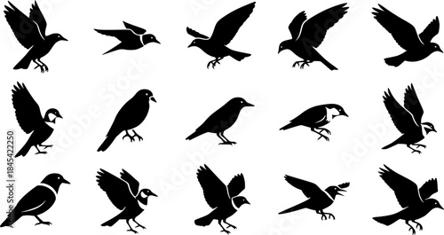 Bird silhouette, Flying bird silhouette, Bird silhouettes, Bird clipart, Birds, Bird vector set, Bird icon, Vector 