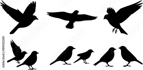Bird silhouette, Flying bird silhouette, Bird silhouettes, Bird clipart, Birds, Bird vector set, Bird icon, Vector 