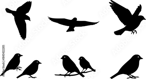 Bird silhouette, Flying bird silhouette, Bird silhouettes, Bird clipart, Birds, Bird vector set, Bird icon, Vector 