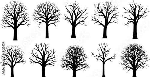 Dead tree silhouette, Bare tree silhouettes, Tree silhouette