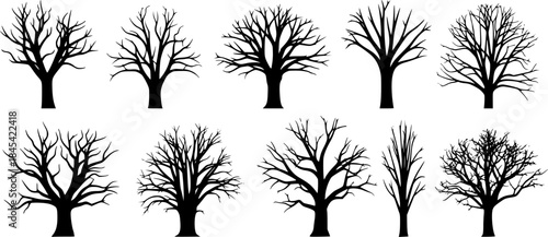 Dead tree silhouette, Bare tree silhouettes, Tree silhouette