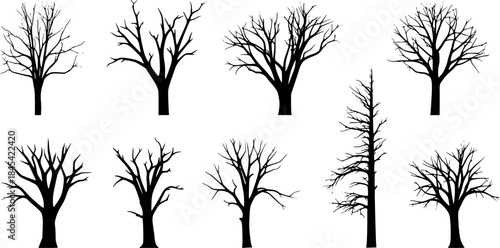 Dead tree silhouette, Bare tree silhouettes, Tree silhouette