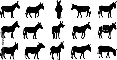 Donkey silhouette, Donkey animal silhouettes, Donkey vector, Animal silhouette
