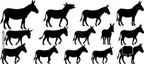 Donkey silhouette, Donkey animal silhouettes, Donkey vector, Animal silhouette