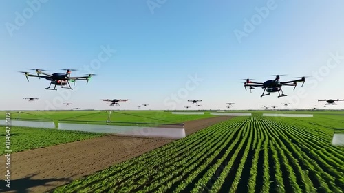 Drone swarm sprays fields of crops under a bright blue sky, illustrating agricultural tech