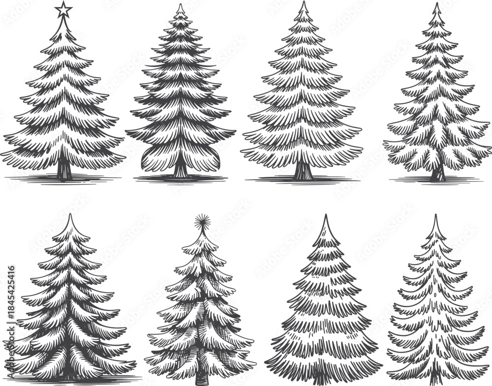 Obraz premium A black and white illustration of seven snow covered pine trees in two rows on a white background with varying shapes and sizes