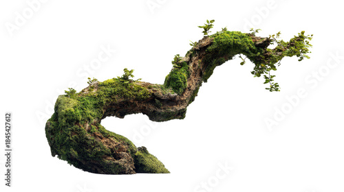 3D render of curved mossy tree limb with rough texture and greenery, composition isolated on a Transparent background, PNG file.