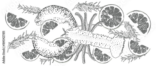 Elegant illustration of a lobster, citrus slices, and rosemary. Monochrome graphics in the vintage style of engravings, dot technique. Perfect for menus, labels, and seafood packaging.