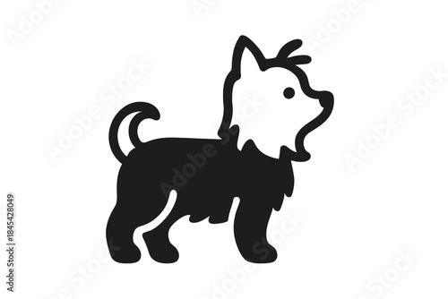 Cute small dog standing sideways with fluffy coat and tail up in black and white style