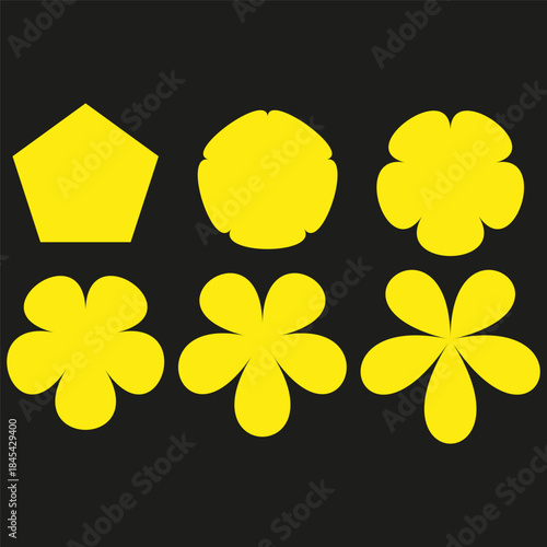 Abstract flower shapes. Yellow petal forms. Geometric bloom Vector. Dark background element.