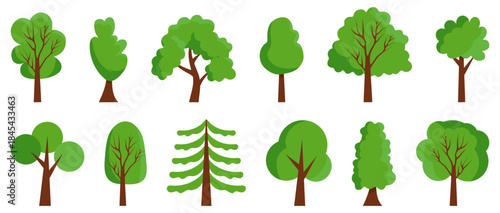 Cartoon trees in flat style with rounded shapes and soft branches. Each tree shows different foliage form