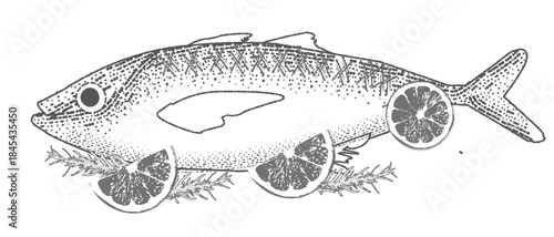 Vintage fish engraving with citrus slices and rosemary. Monochrome ink-style vector illustration. Perfect for menu design, labels, seafood packaging, and culinary projects.
