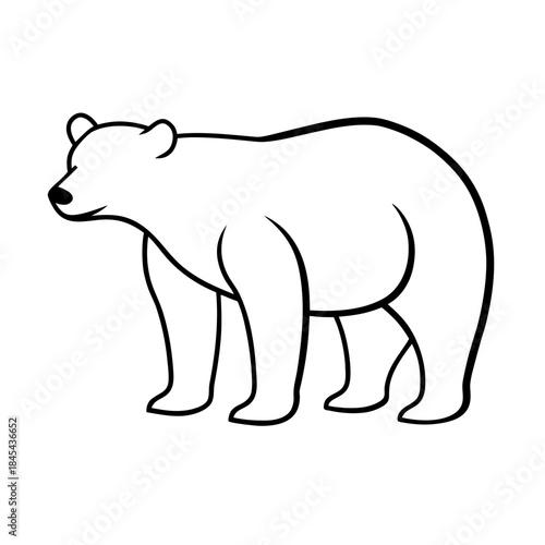 vector clip art polar bear on white background for web and graphic design