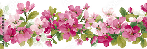 Pink and Magenta Cherry Blossom Border cherry blossoms flowers isolated on a transparent background