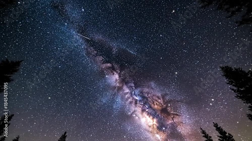 A Glimpse of the Milky Way Through the Forest Canopy at Night.