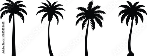 Palm tree silhouette vector collection, tropical black icons, curved trunks, frond variations, summer nature design, botanical landscape illustration, white background