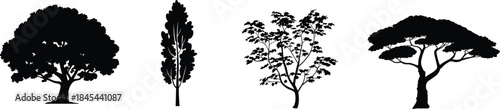 Tree silhouette collection isolated black nature icons oak poplar deciduous acacia forest plants botanical design elements set