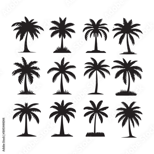 Palm tree silhouette vector icon set