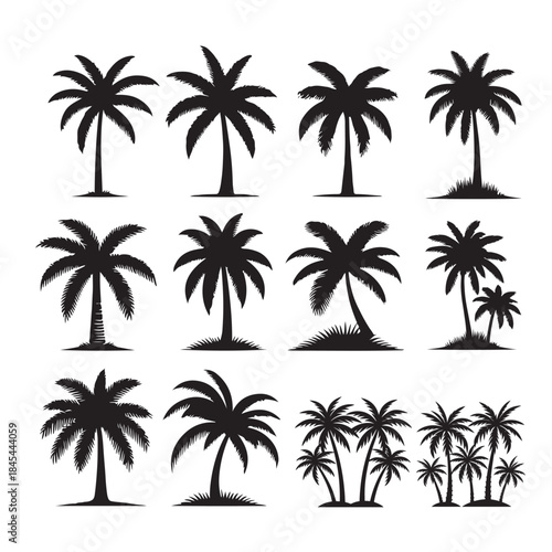 Palm tree silhouette vector icon set