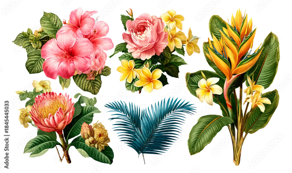 Fototapeta premium Vibrant Tropical Flowers Set in Botanical Style for Premium Illustration