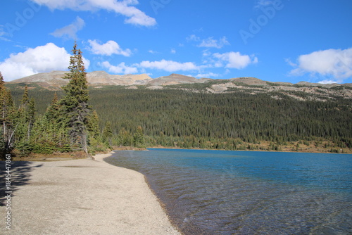 Beach On Bow Lake, Banff National Park, Alberta