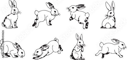 Volleyball players spiking ball on court