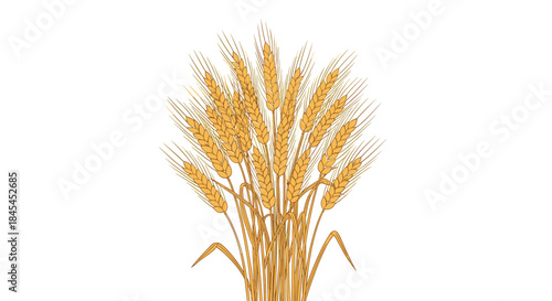 Golden wheat stalks rise in a bright studio setting conveying abundance warmth and rustic charm for a natural harvest inspired scene that evokes timeless agriculture.