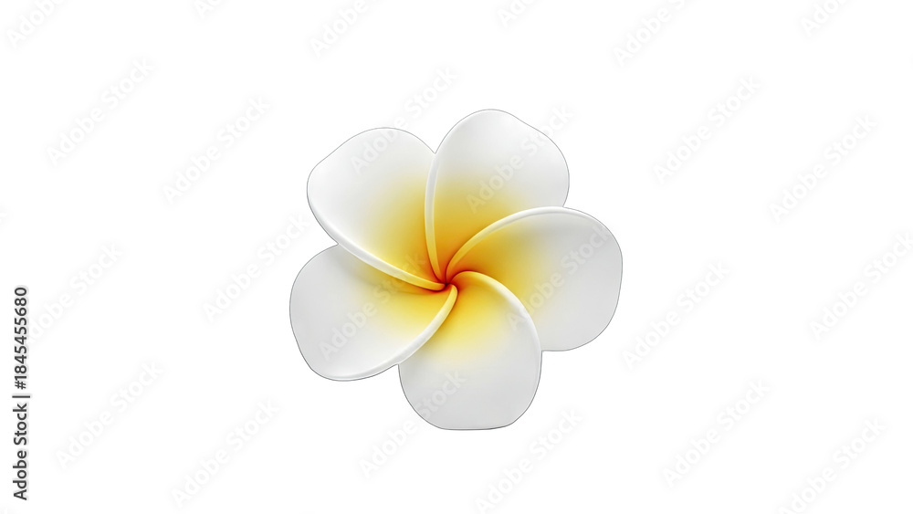 Fototapeta premium Plumeria Flower Isolated on White Background