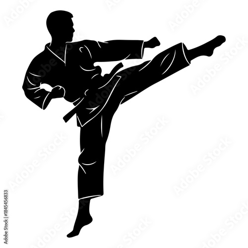 Silhouette of a person performing a martial arts kick in a karate uniform