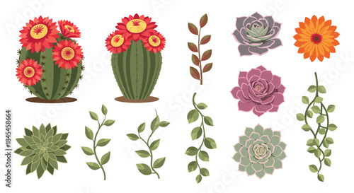 A vibrant collection of various succulent plants and cacti, including blooming barrel cactus, colorful echeveria, and green branches.