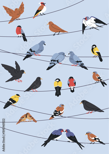 Birds sitting on power lines, vertical poster background. Perched on electric cables, wires, nature and fauna card design. Sparrow, pigeon, tit and finch resting. Flat vector illustration.