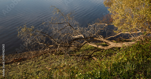 Cecebre reservoir at dawn