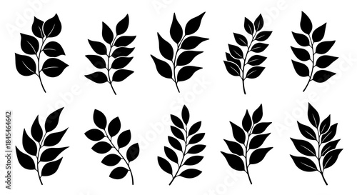 set of laurel wreaths