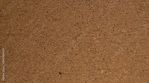 Color and texture of a wide area of ​​cork