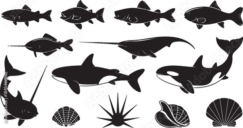 set of fish silhouettes vector illustration aquatic marine animals swimming pattern on white background