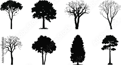 Set of tree silhouettes in a natural forest collection vector illustration