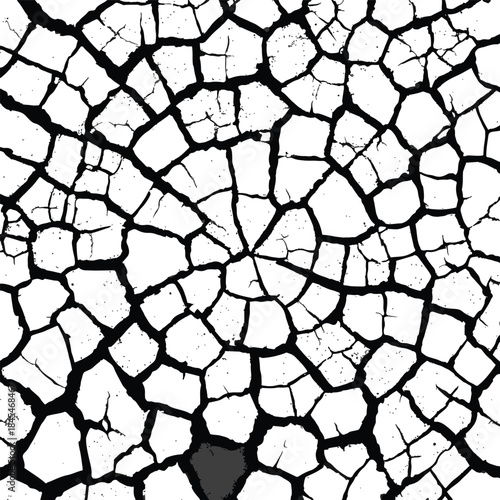 Black and White Cracked Earth Dry Ground Texture Abstract Grunge Overlay Surface Drought Pattern Background