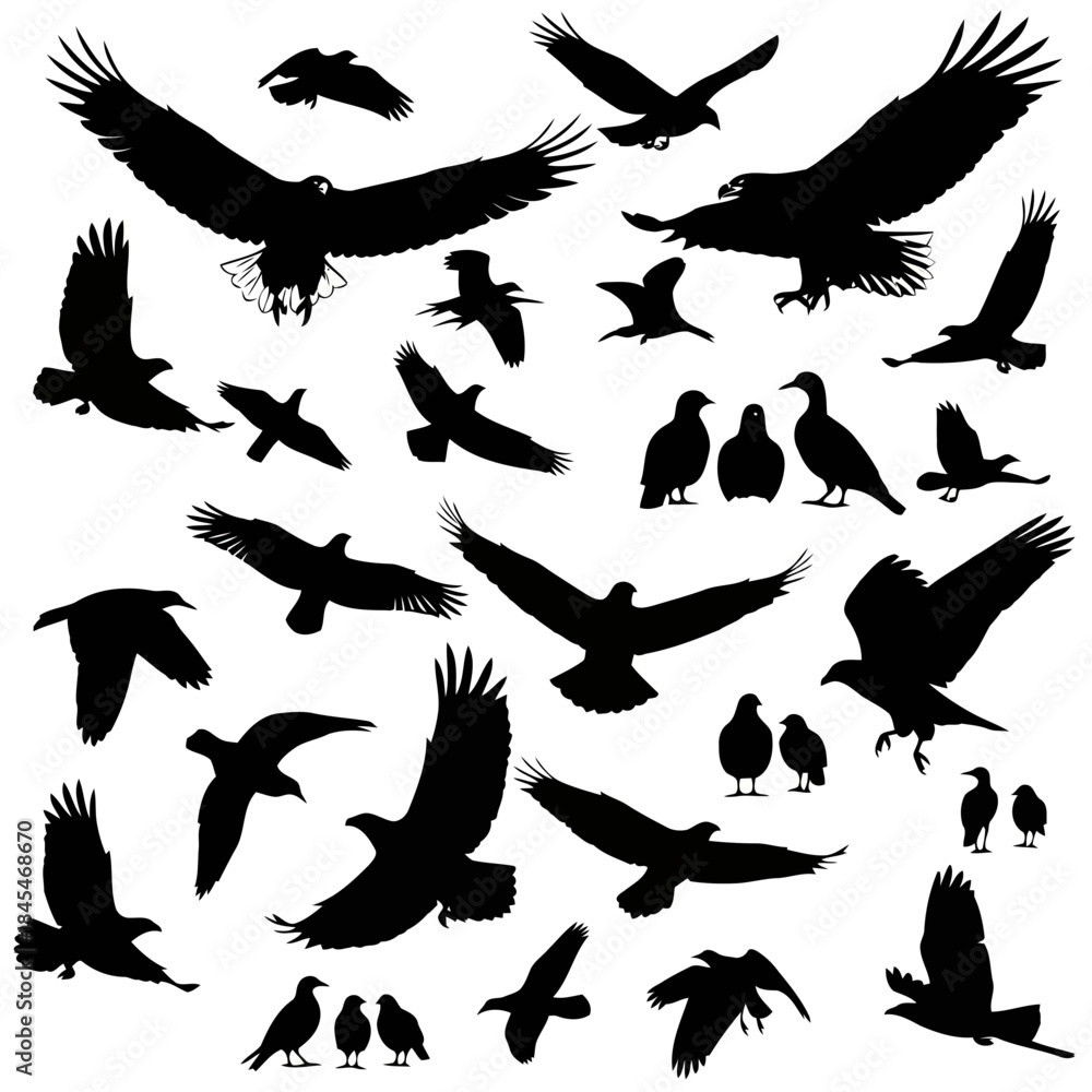 Obraz premium Black silhouettes of various birds in flight isolated on