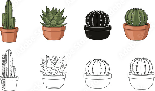 Vector illustration of cactus and succulent pots—symbols for botanical diversity, plant decor, garden style, and educational reference design