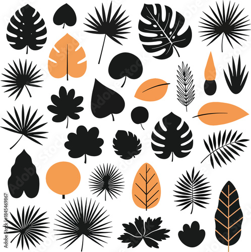 Black and Orange Tropical Leaf Silhouettes Monstera Palm Fan Shapes Jungle Botanical Elements Flat Design Illustration