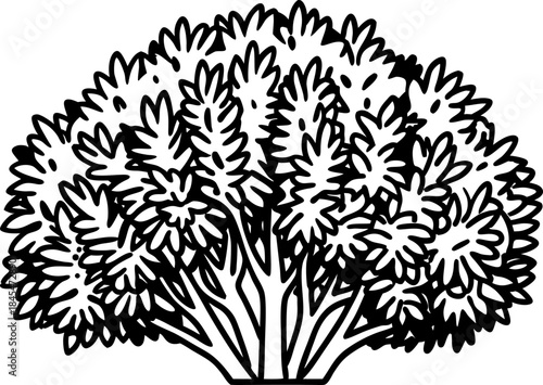 Dense leafy shrub illustration with multiple branches black and white garden plant outline, foliage bush design