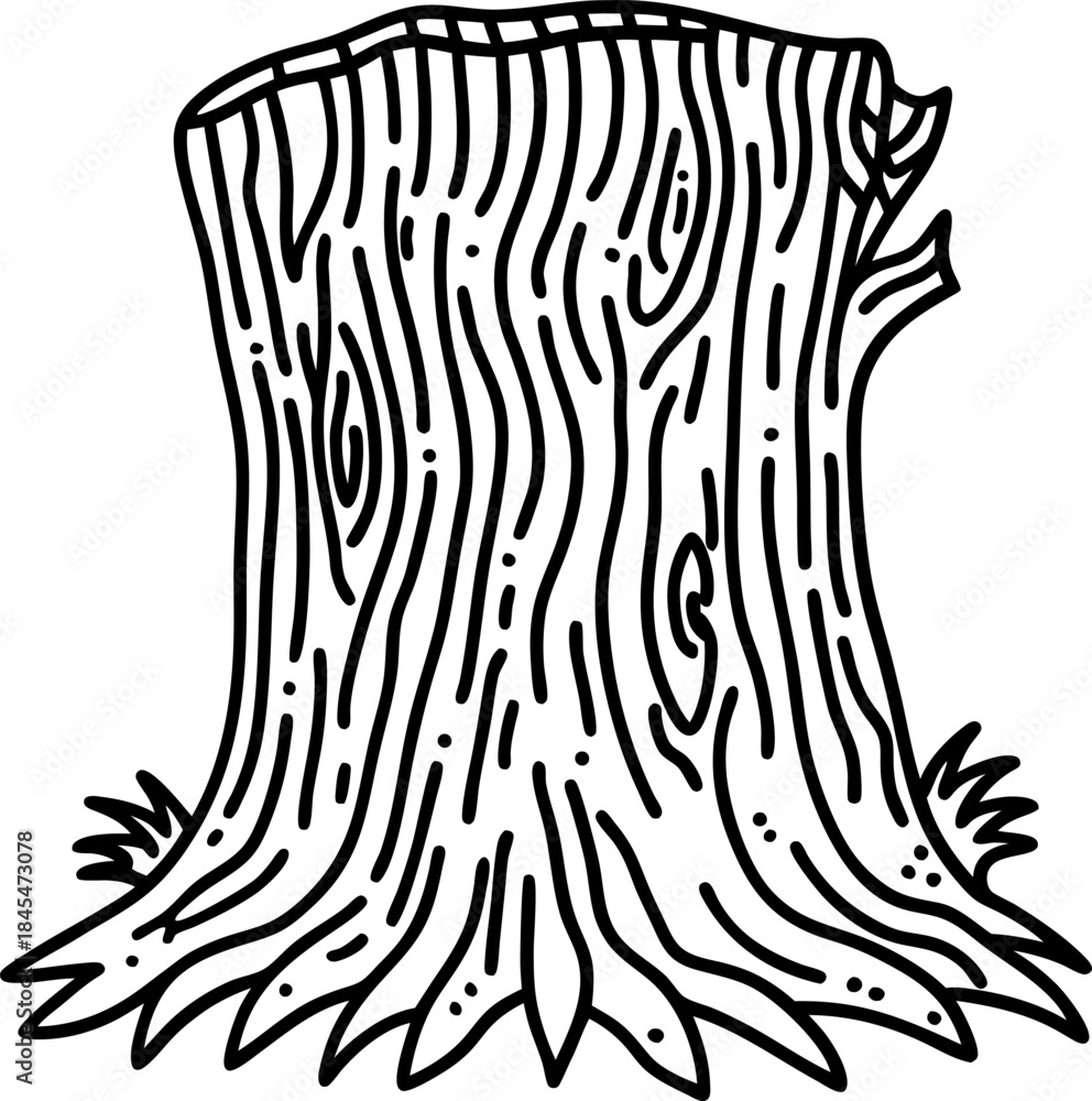 Obraz premium Tree stump with detailed wood grain lines and roots, black and white outline nature illustration