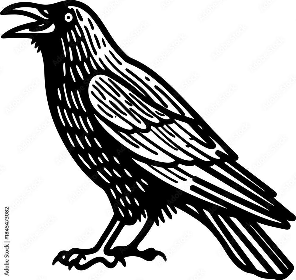 Fototapeta premium black raven illustration stylized crow bird side view with open beak and detailed feathers