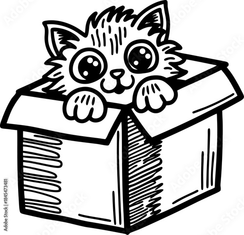 Cute kitten peeking out of cardboard box adorable curious cat hiding inside container